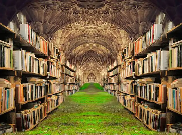 Seja como os famosos e seja o primeiro brasileiro laureado com o Nobel de Literatura