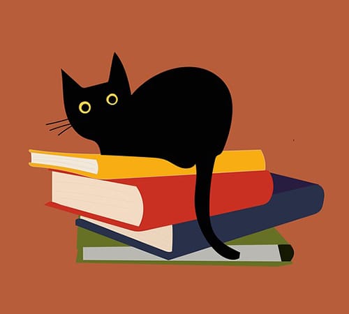Muitos livros para escolher