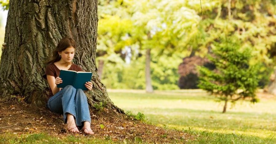 Como entender autores brasileiros guia para decifrar contexto histórico e social